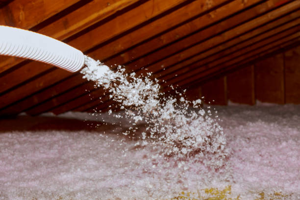 Best Insulation Installation Services in Watford City, ND